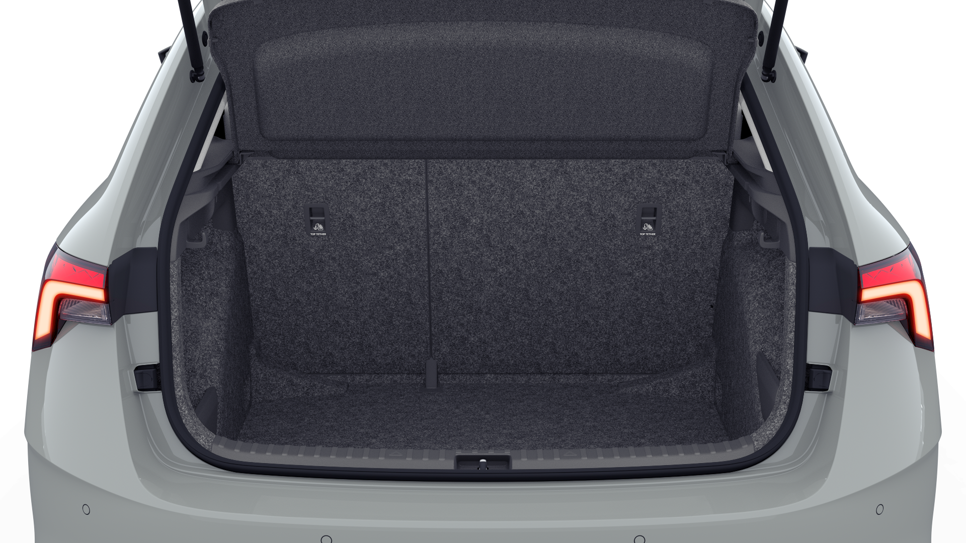 trunk